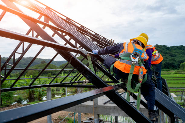 Best Flat Roof Repair Services  in Swartz Creek, MI