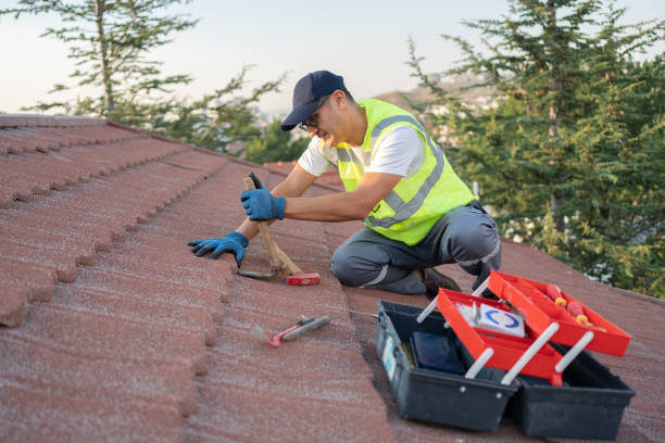 Best Roof Gutter Cleaning  in Swartz Creek, MI