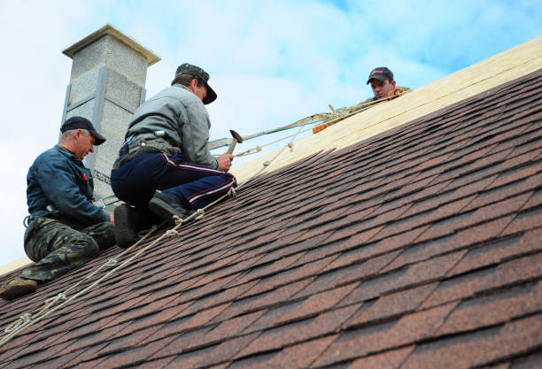 Best Best Roofing Contractors  in Swartz Creek, MI