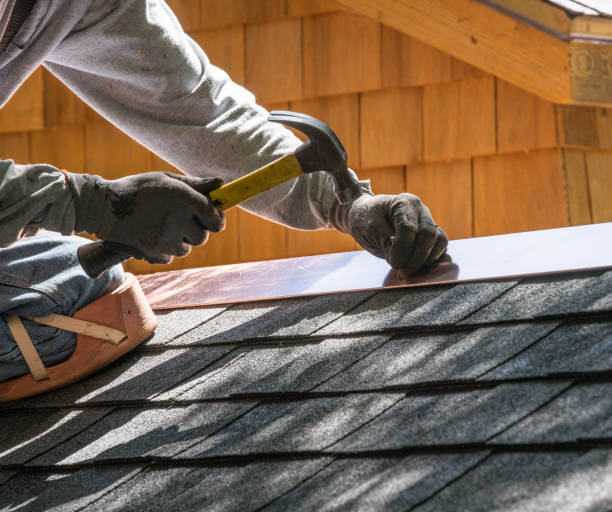 Best Local Roofing Companies  in Swartz Creek, MI